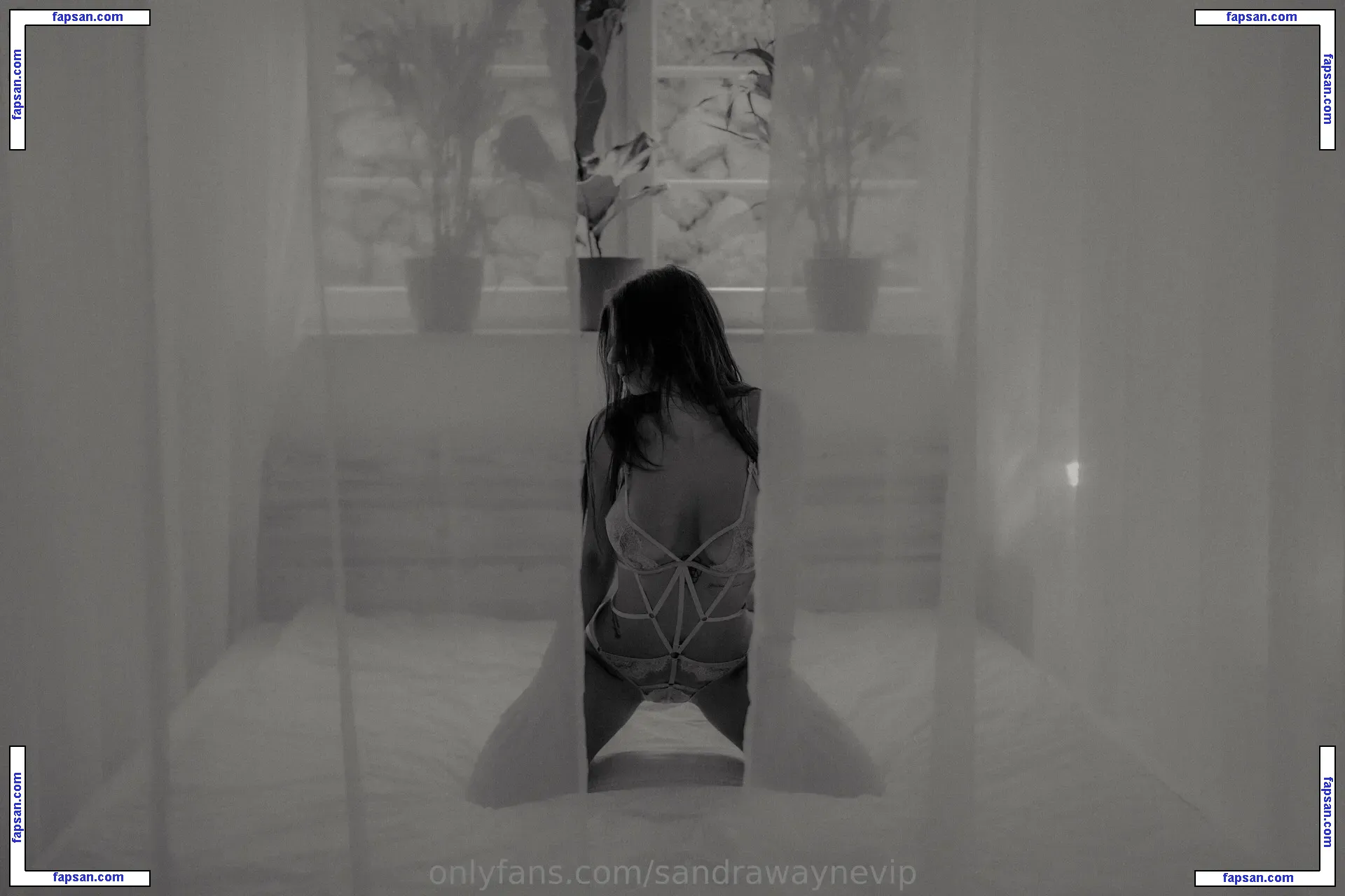 Sandra Wayne nude photo #0002 from OnlyFans