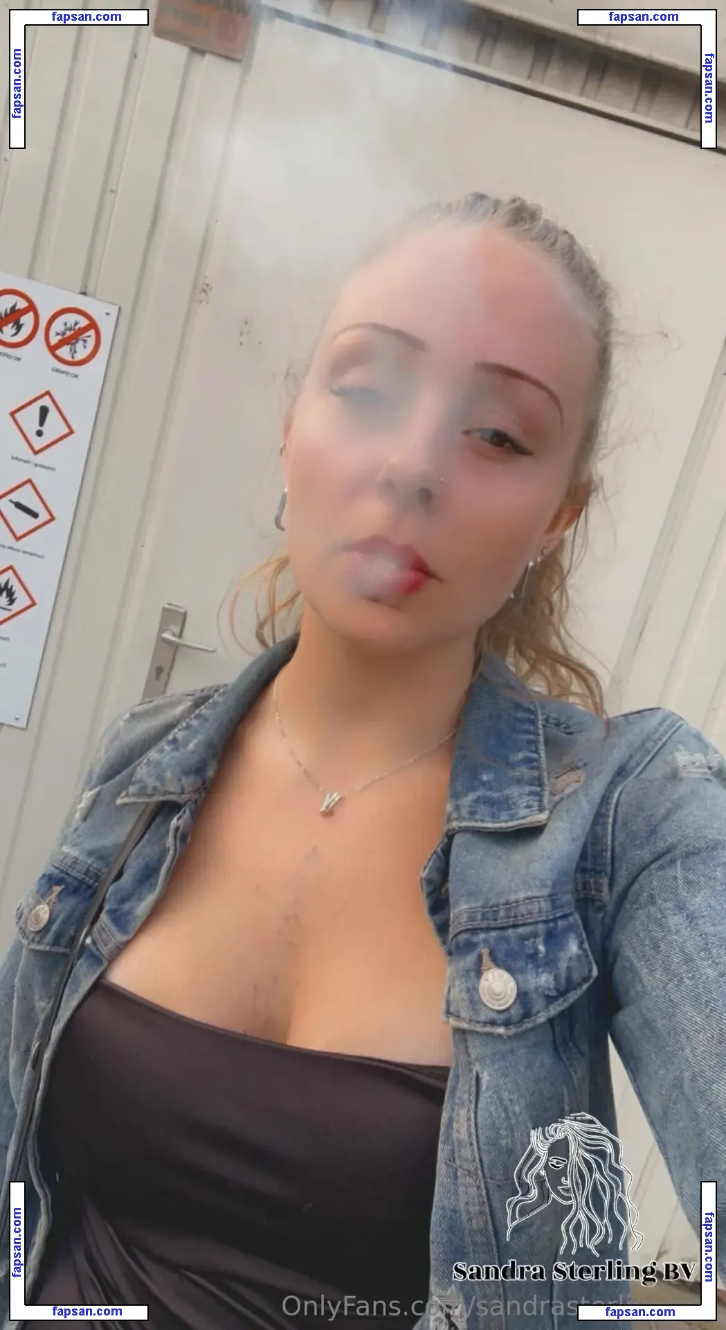 sandrasterlingfree nude photo #0001 from OnlyFans