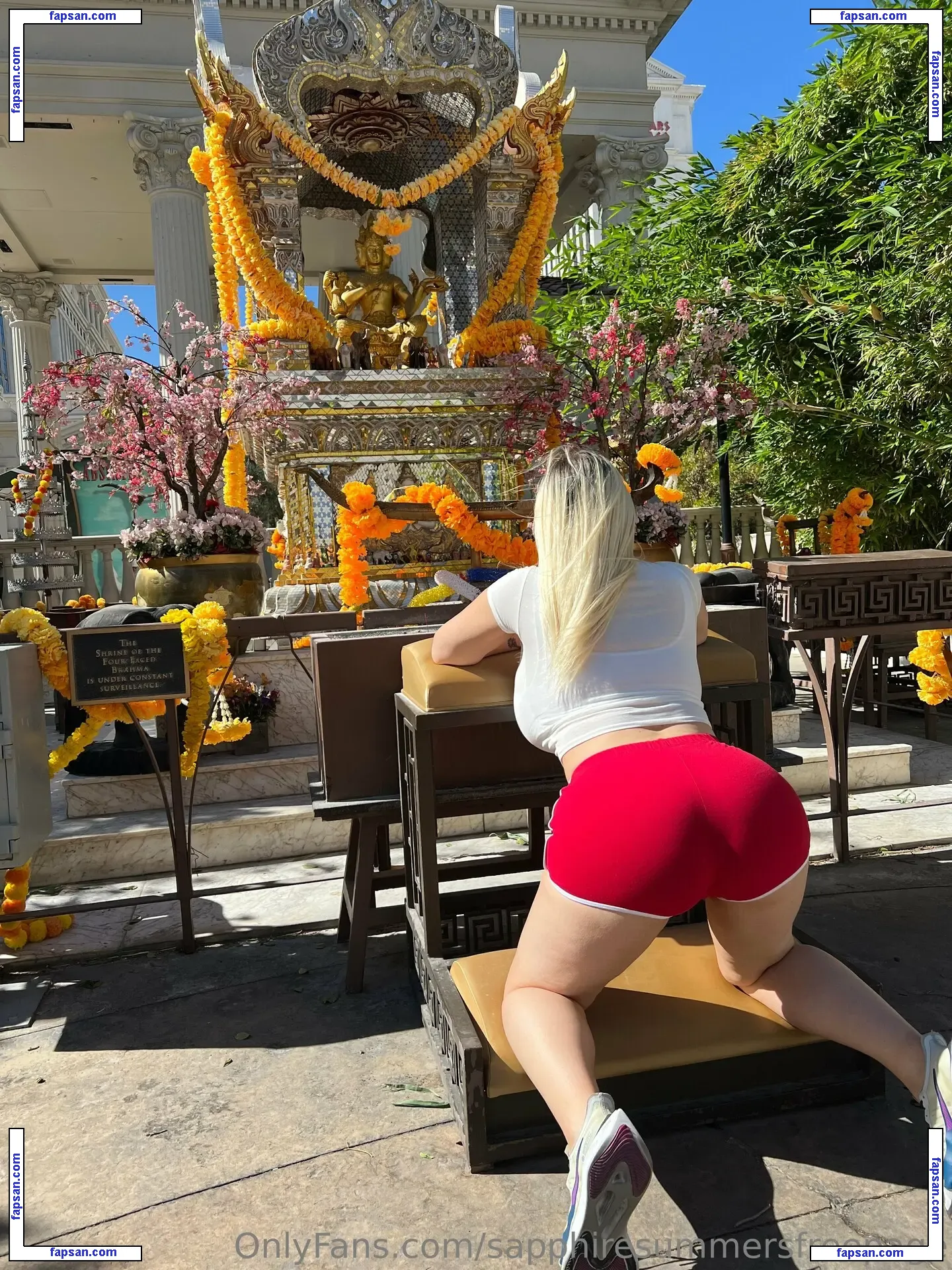 sapphiresummersfreepage nude photo #0025 from OnlyFans