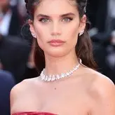 Sara Sampaio nude #2526