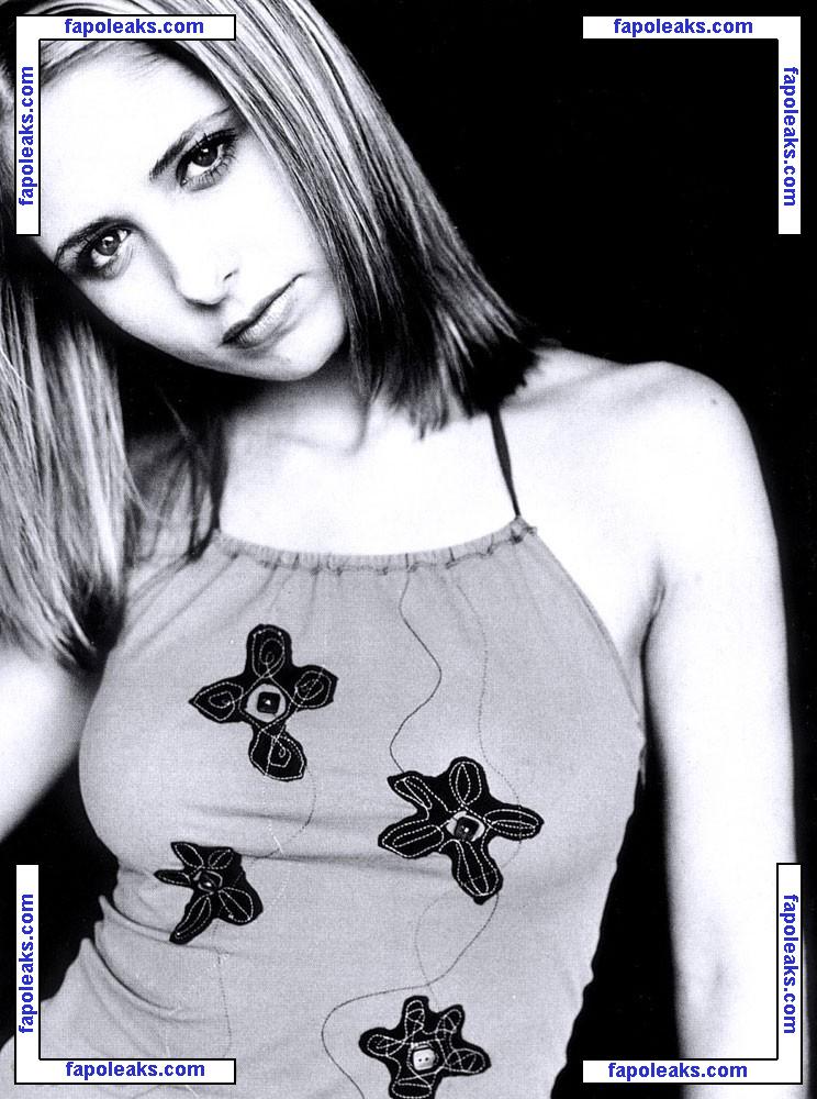 Sarah Michelle Gellar / sarahmgellar nude photo #0386 from OnlyFans