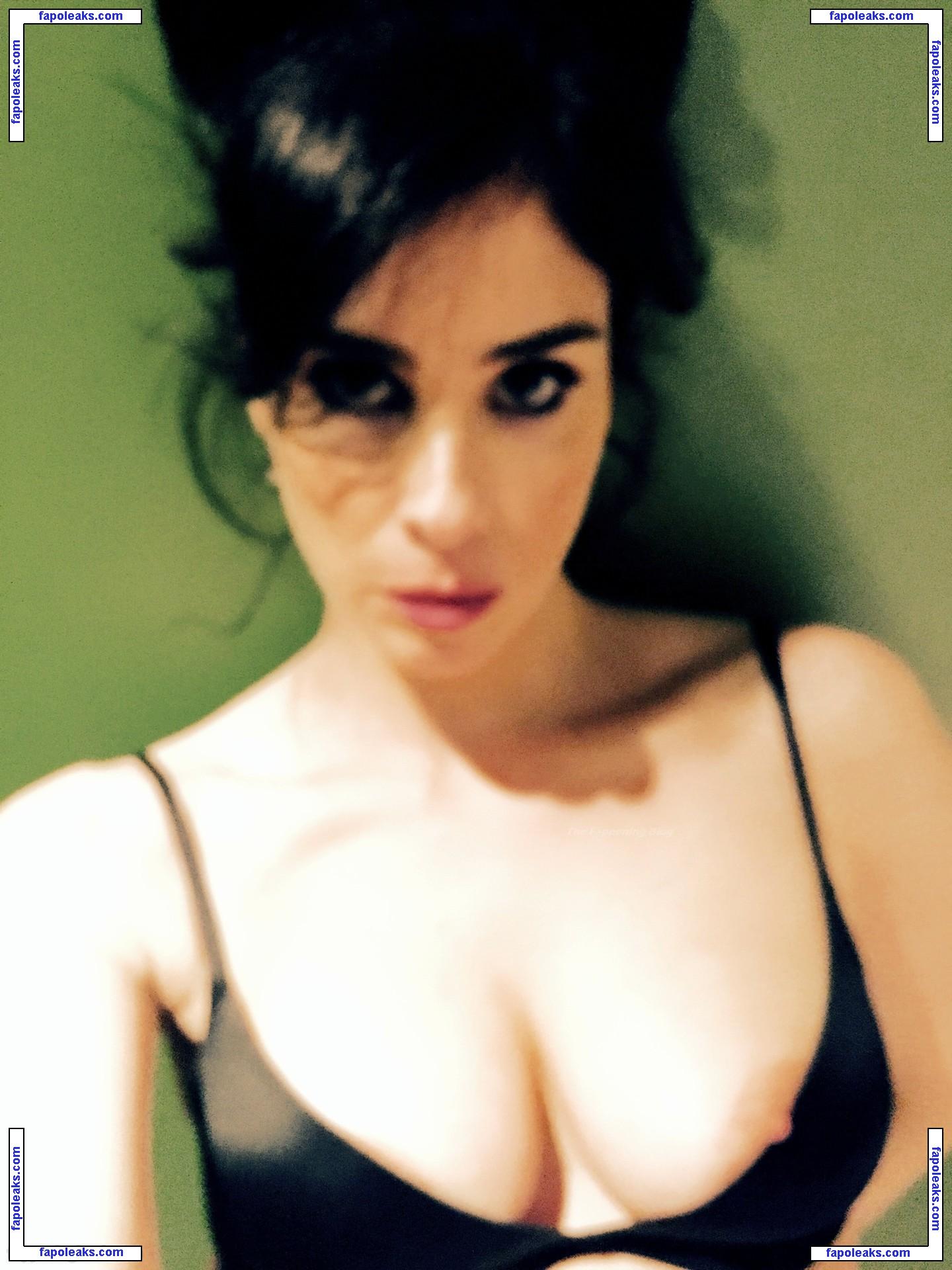 Sarah Silverman / sarahkatesilverman nude photo #0302 from OnlyFans