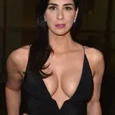 Sarah Silverman голая #0414