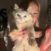 Sasa голая #0395