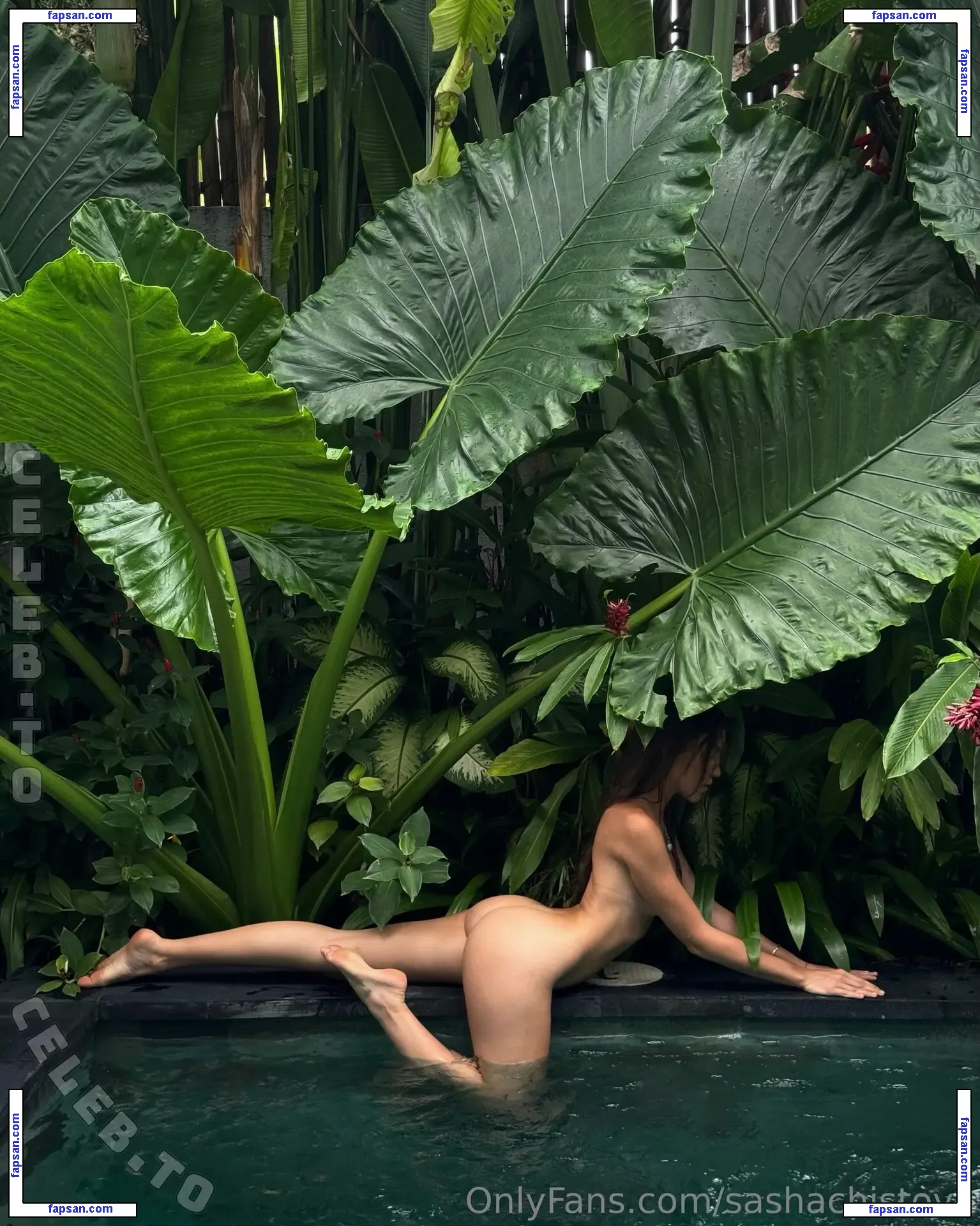 Sasha Chistova nude photo #0049 from OnlyFans