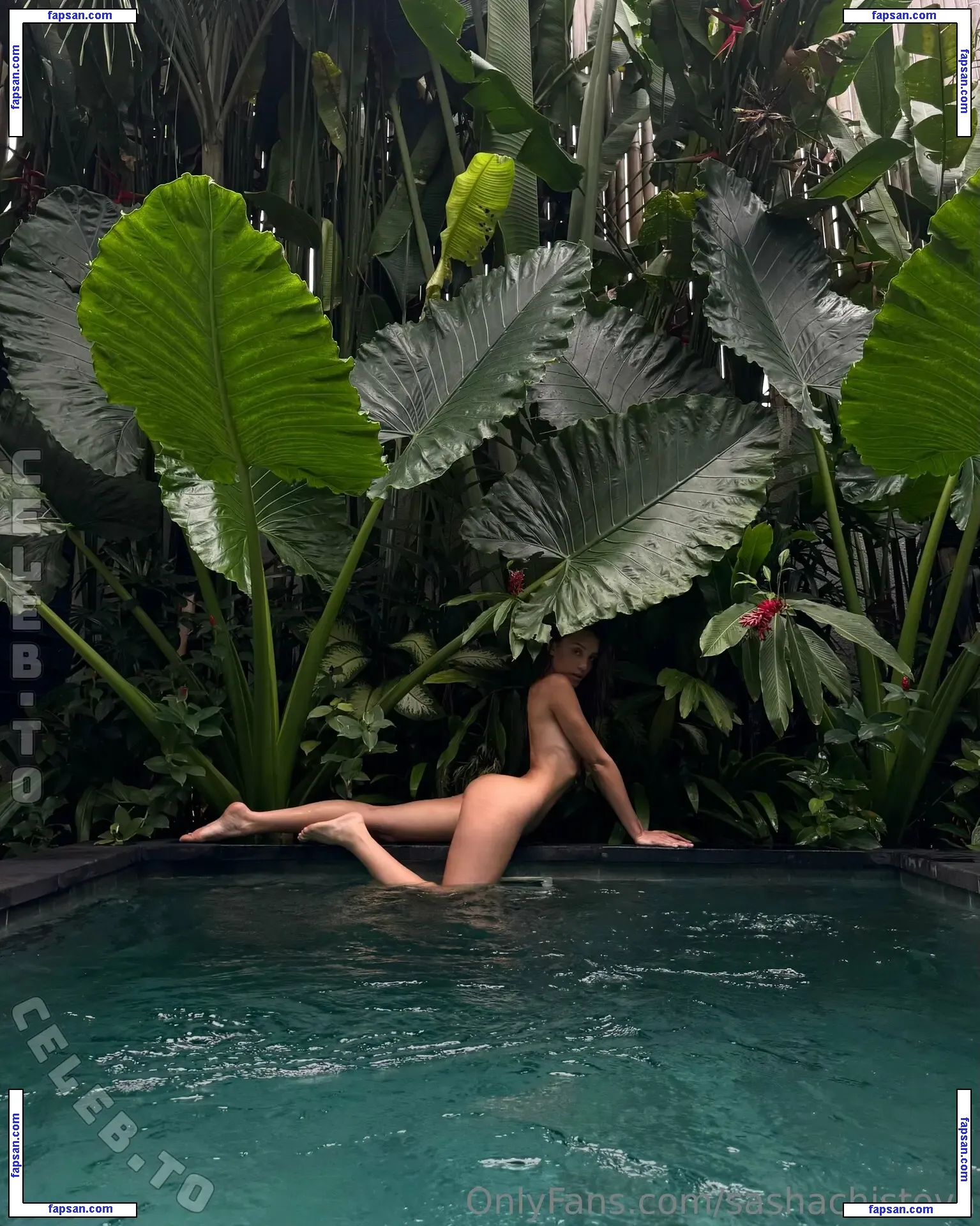 Sasha Chistova nude photo #0050 from OnlyFans