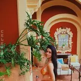 Sasha Pieterse nude #0152