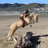 Saskia Herd голая #0002