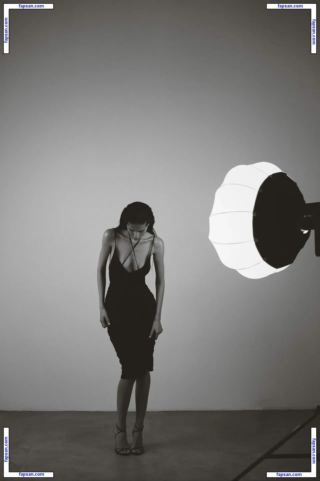 Schassi голая фото #0035 с Онлифанс