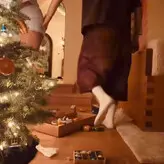 Selena Gomez nude #0347