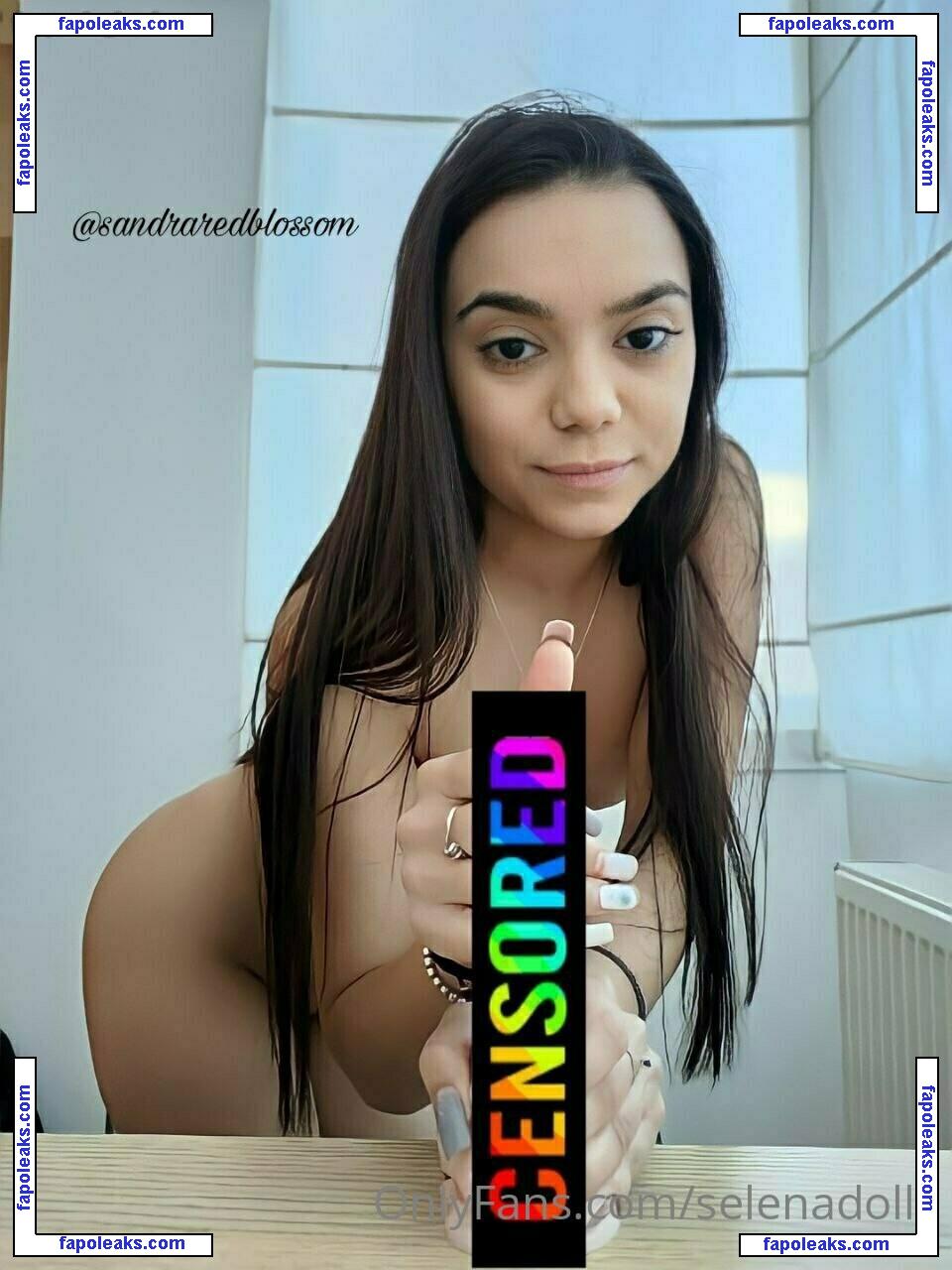 selenaadoll1 / selenad1 nude photo #0023 from OnlyFans