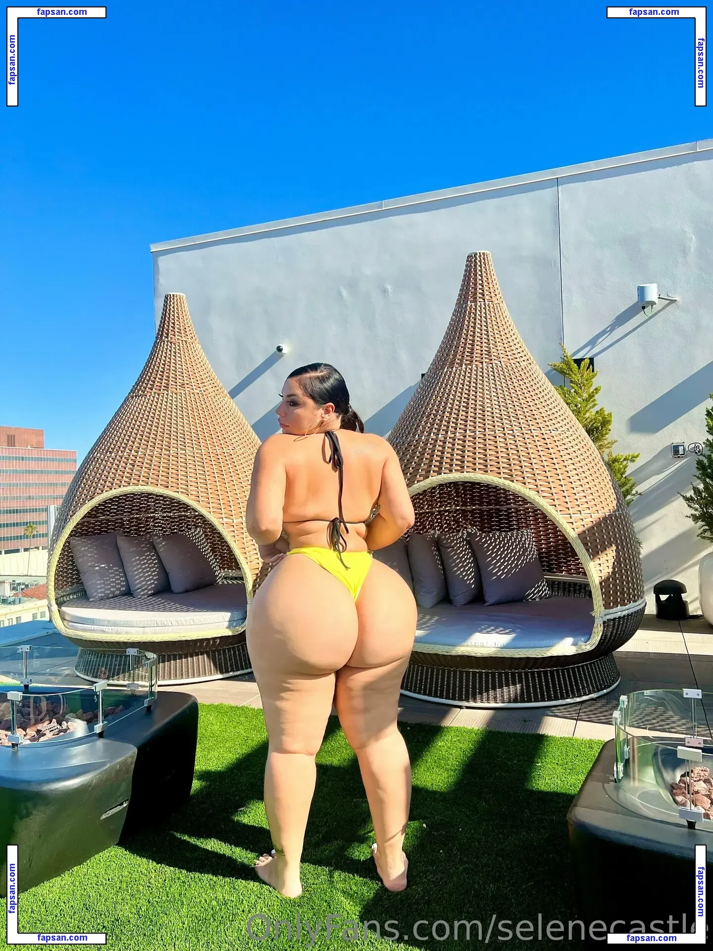 selenecastle nude photo #0002 from OnlyFans