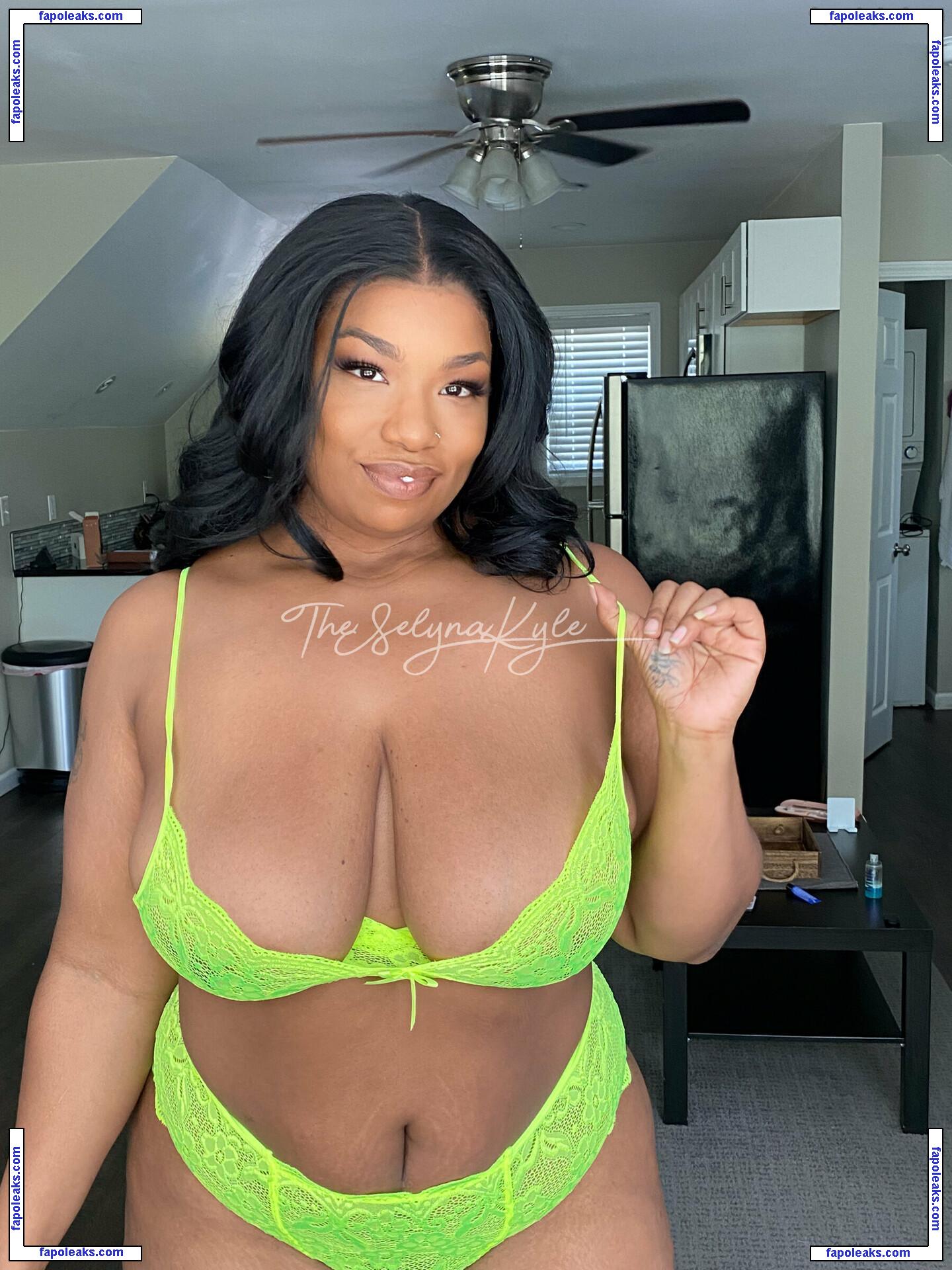 selynakylexoxo nude photo #0065 from OnlyFans