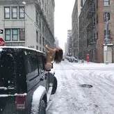 Serena Jung nude #0032