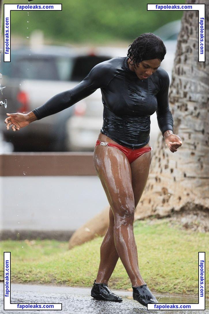 Serena Williams / serenawilliams nude photo #0205 from OnlyFans