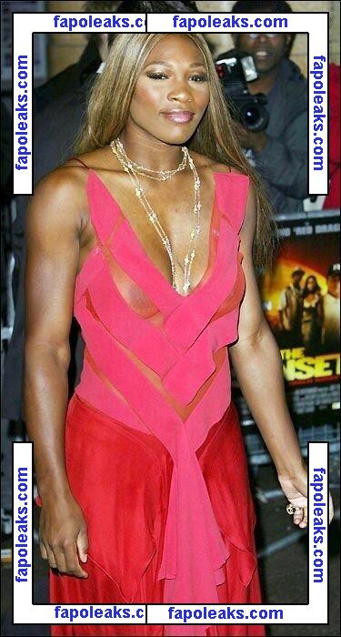 Serena Williams / serenawilliams голая фото #0379 с Онлифанс