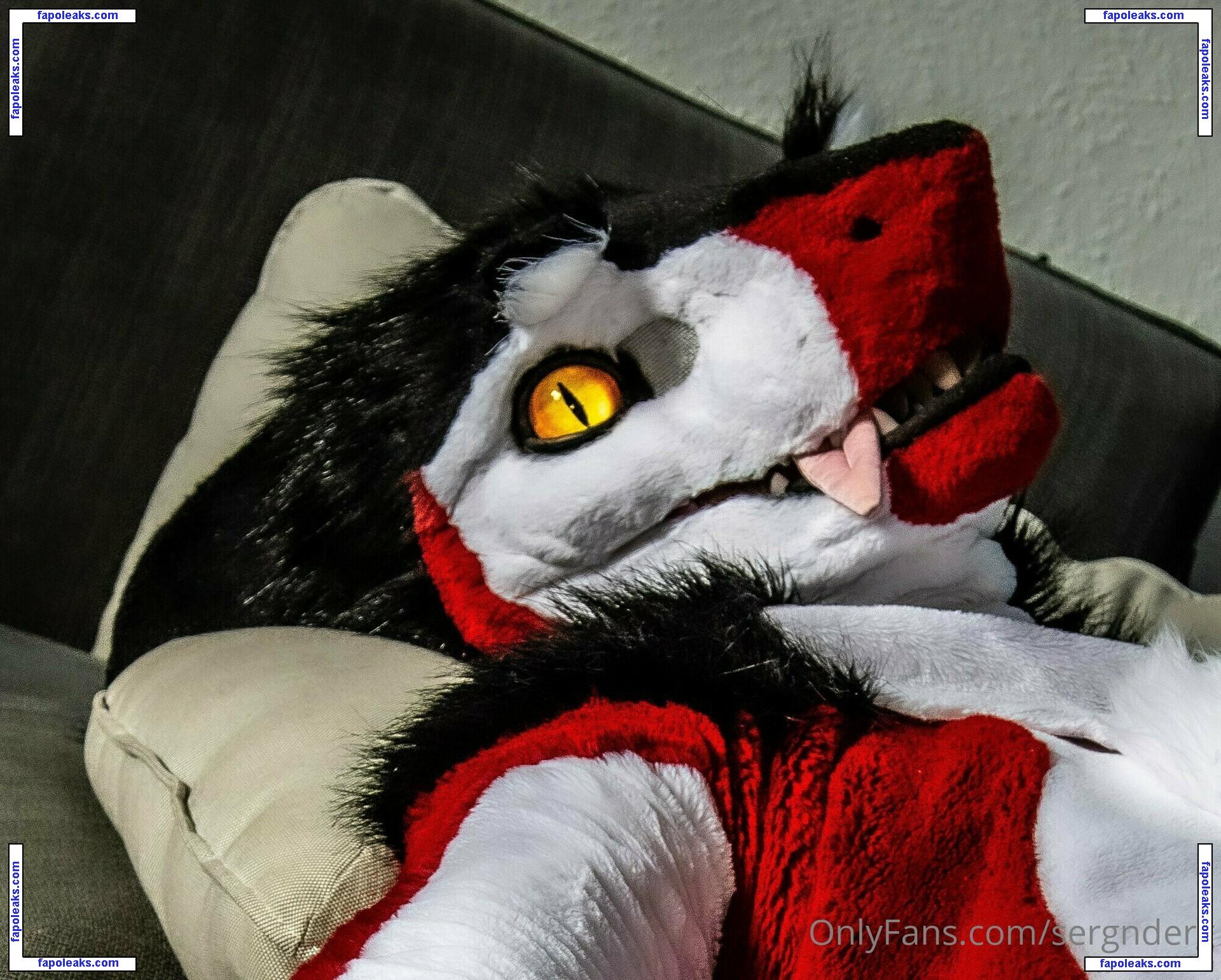 sergnderg / sergndergfursuits голая фото #0043 с Онлифанс