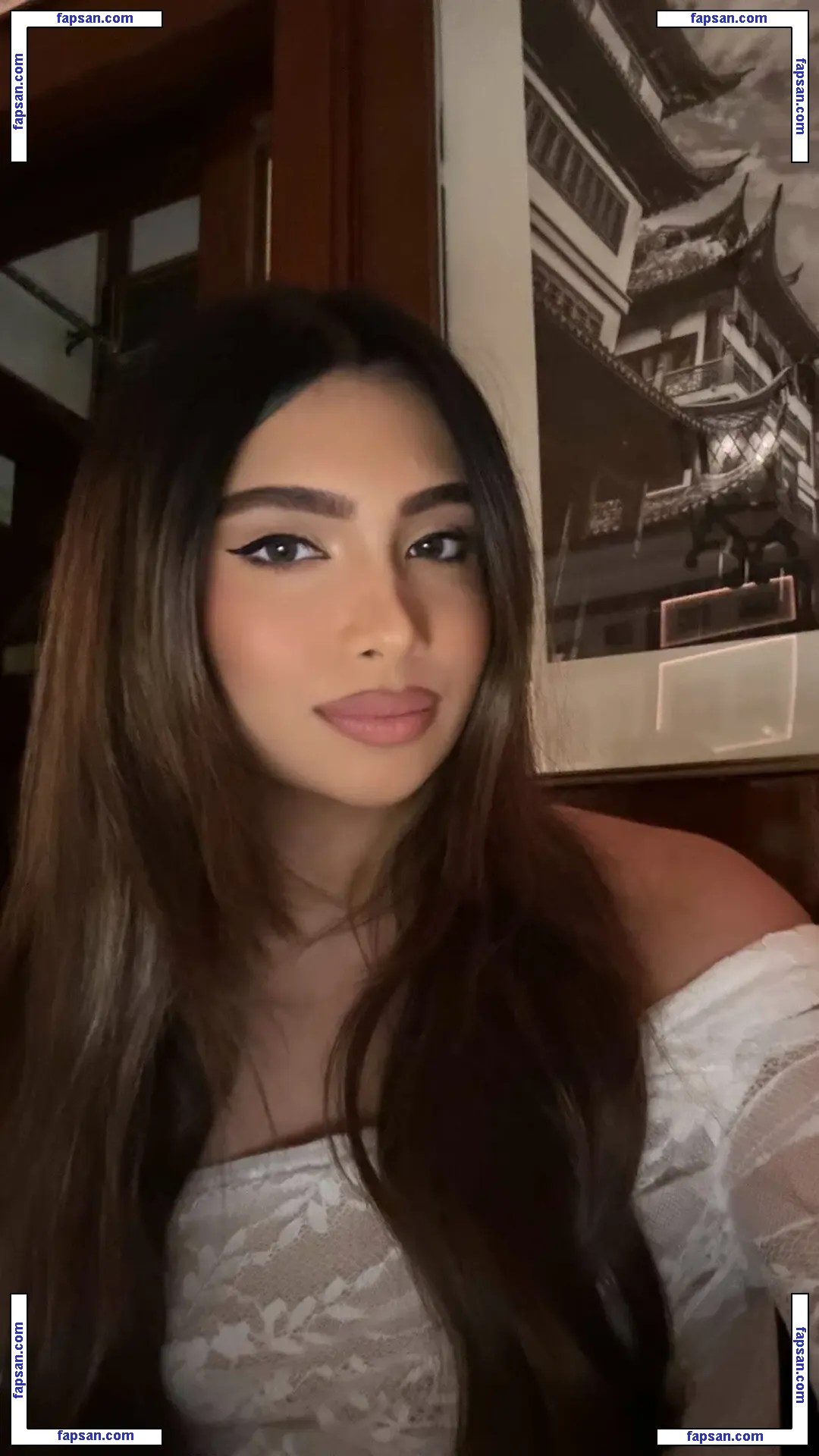 Shabreen Meerasafeer nude photo #0003 from OnlyFans