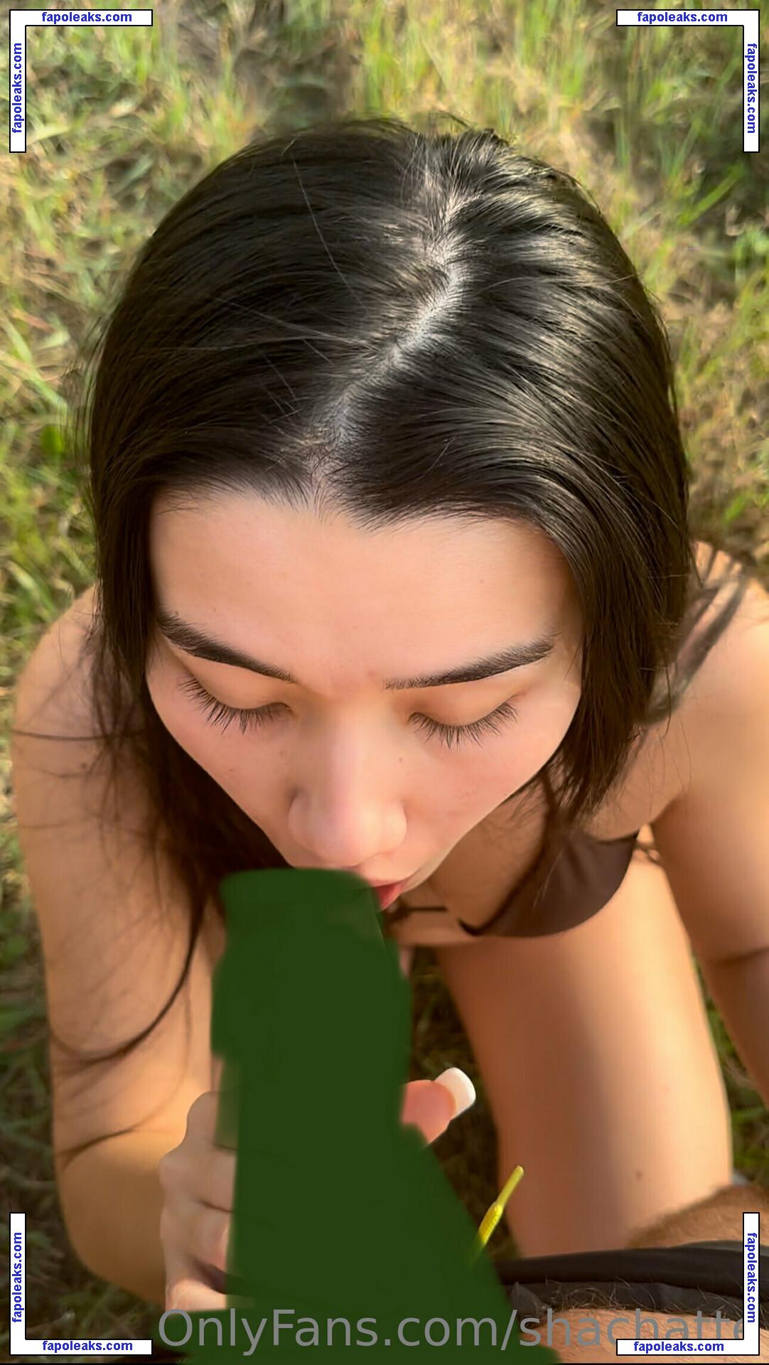shachatte / shachatteof nude photo #0028 from OnlyFans