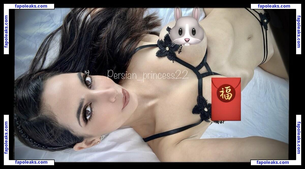 Shadi VIP / PersianP22Shadi / persian_princess22 / vipshaadidotcom голая фото #0006 с Онлифанс