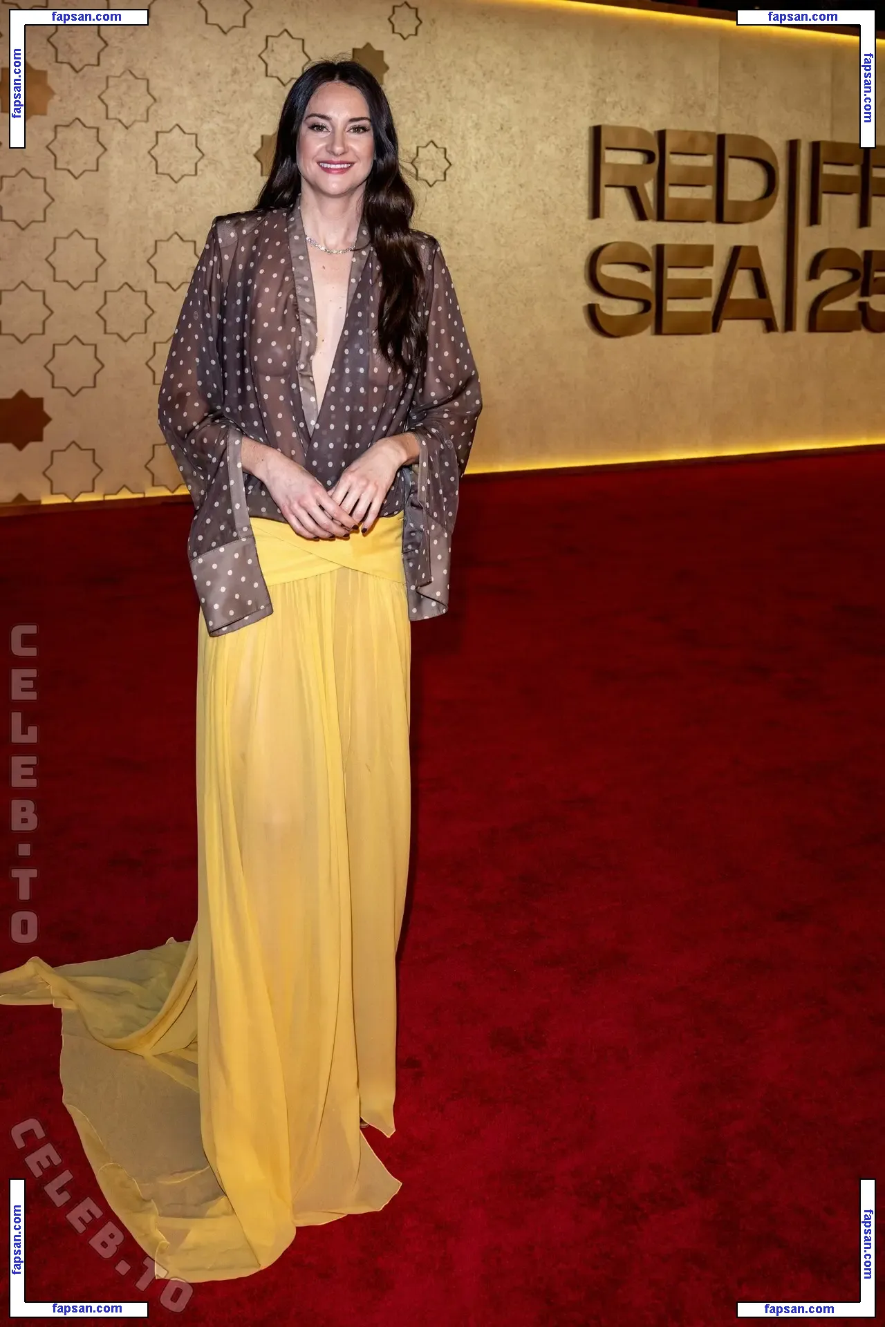 Shailene Woodley голая фото #0993 с Онлифанс