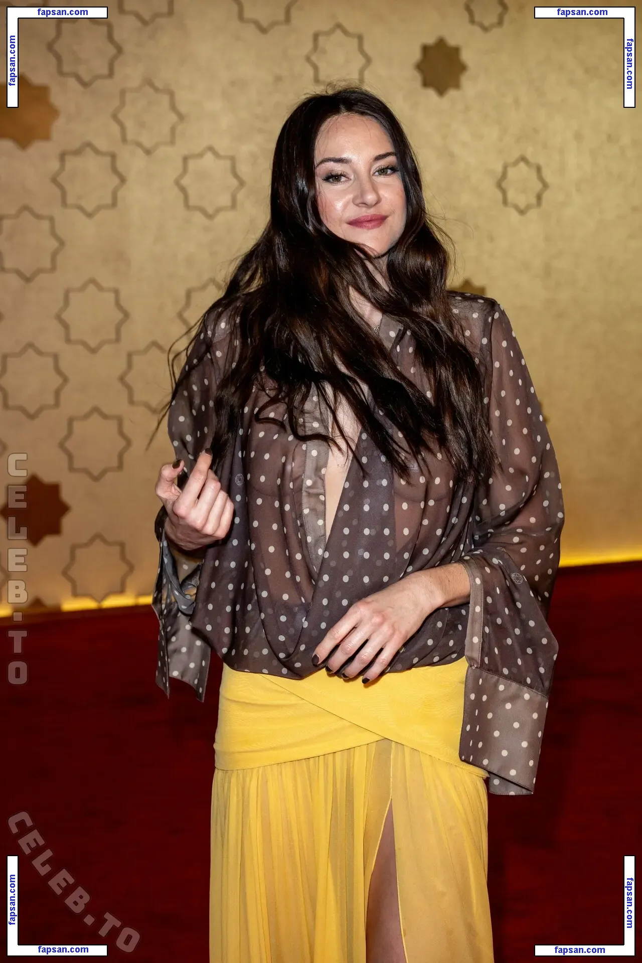 Shailene Woodley голая фото #0994 с Онлифанс