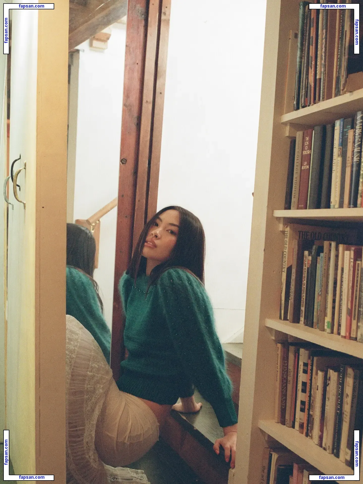 Shannon Zhao голая фото #0069 с Онлифанс