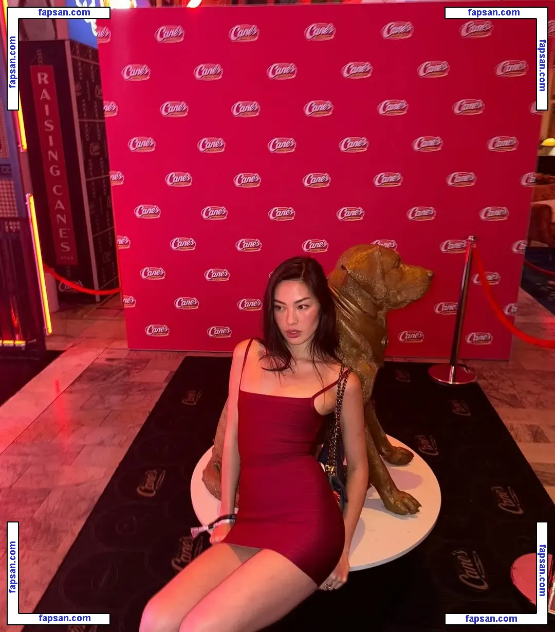 Shannon Zhao голая фото #0100 с Онлифанс