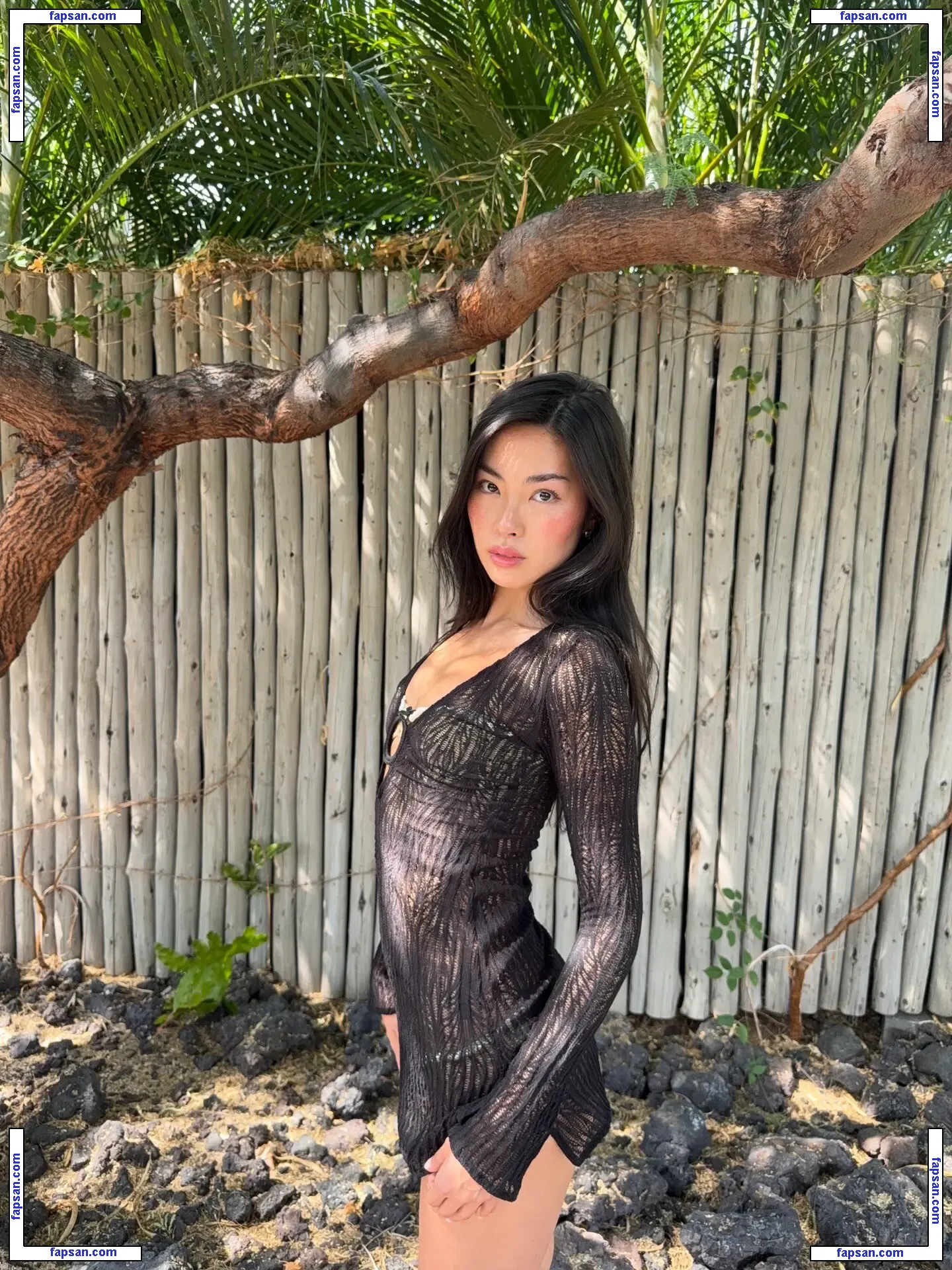 Shannon Zhao голая фото #0125 с Онлифанс