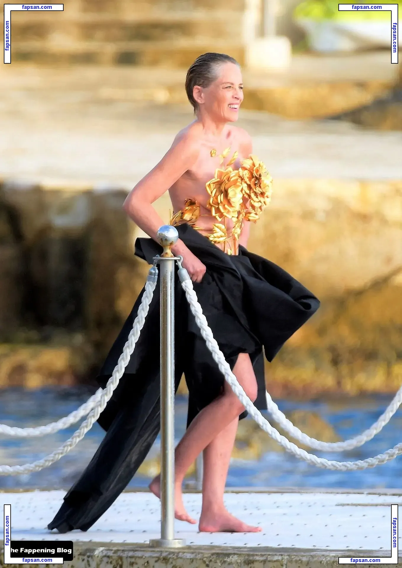 Sharon Stone nude photo #0525 from OnlyFans