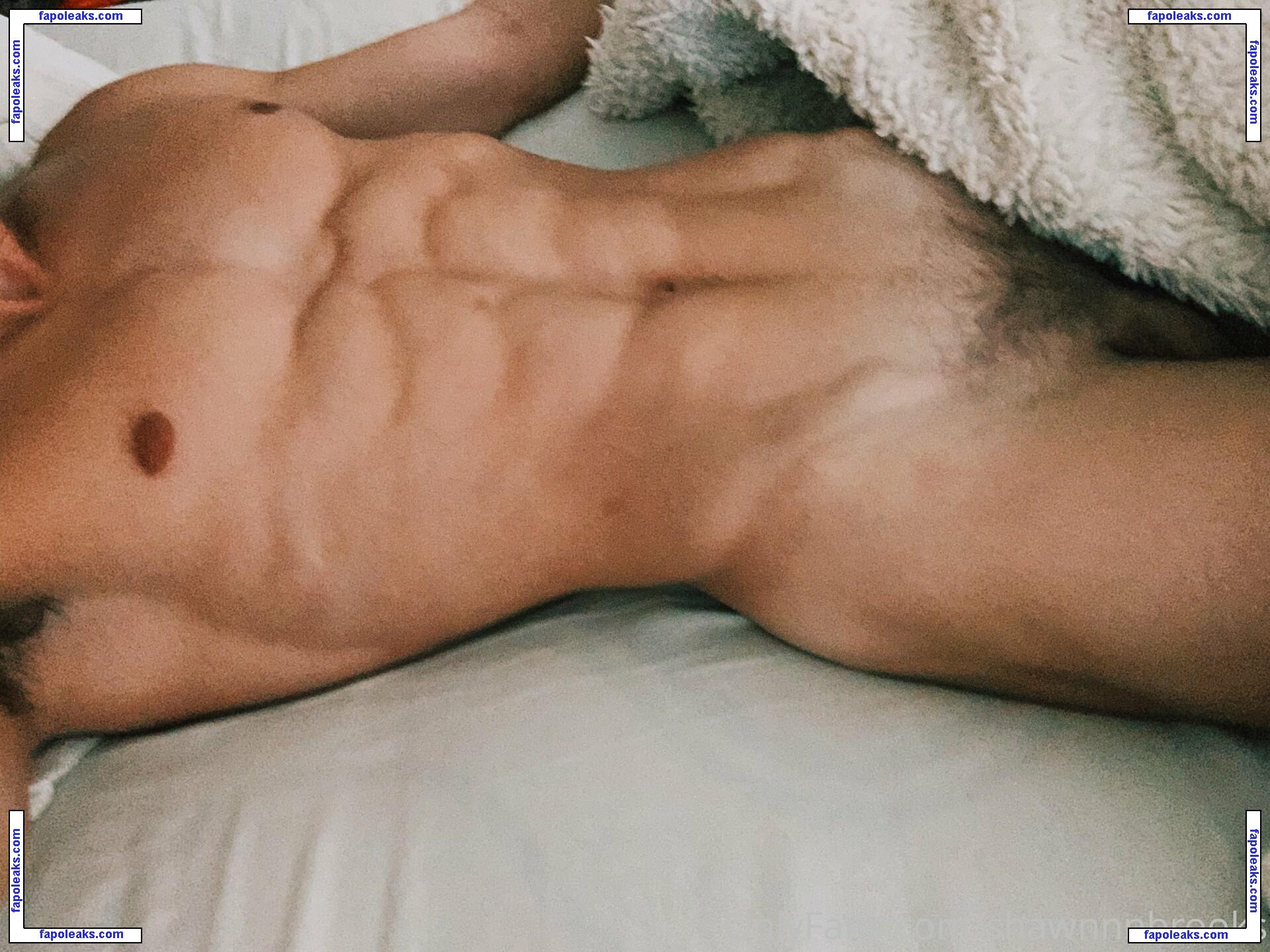 shawnnnbrooks / _shawnbrooks__ nude photo #0025 from OnlyFans