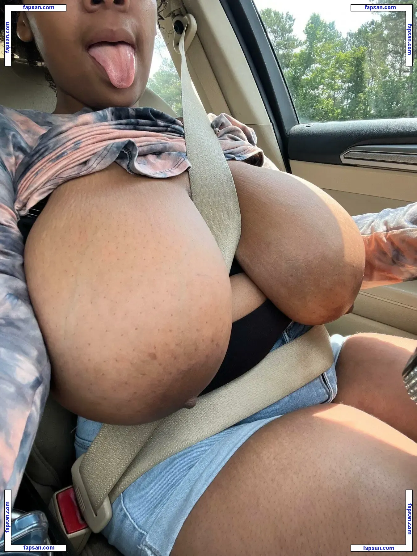 Shaycrazychic / isshaycrazy nude photo #0009 from OnlyFans