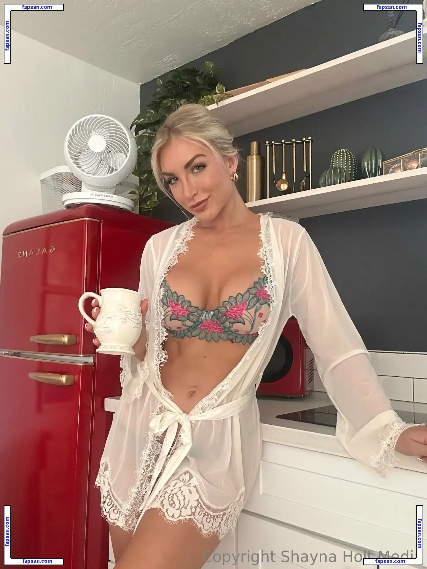 shaynaholt nude photo #0002 from OnlyFans