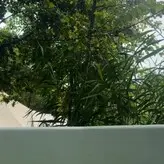 Shelly Sterk голая #0009