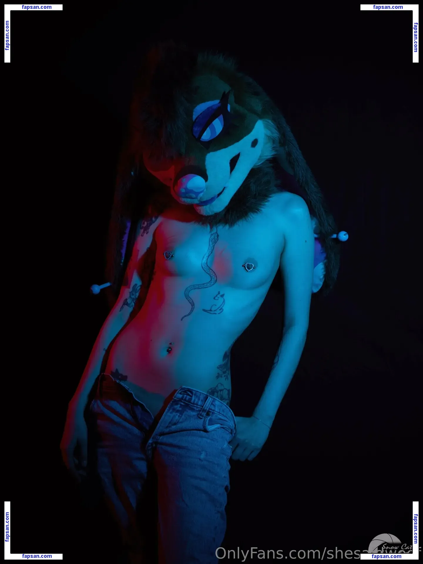 shesaidwoof nude photo #0026 from OnlyFans