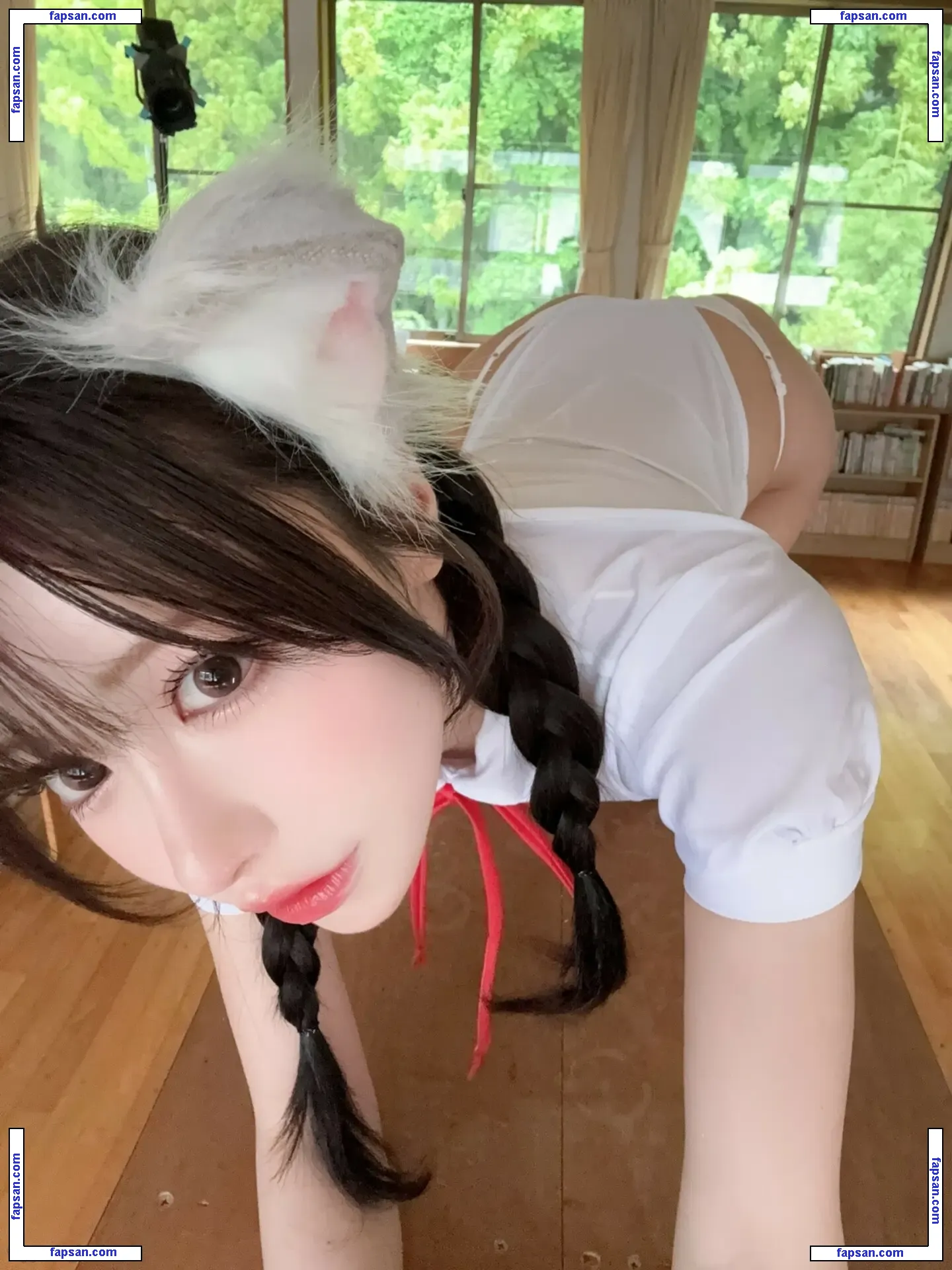 Shirotama Mai nude photo #0081 from OnlyFans