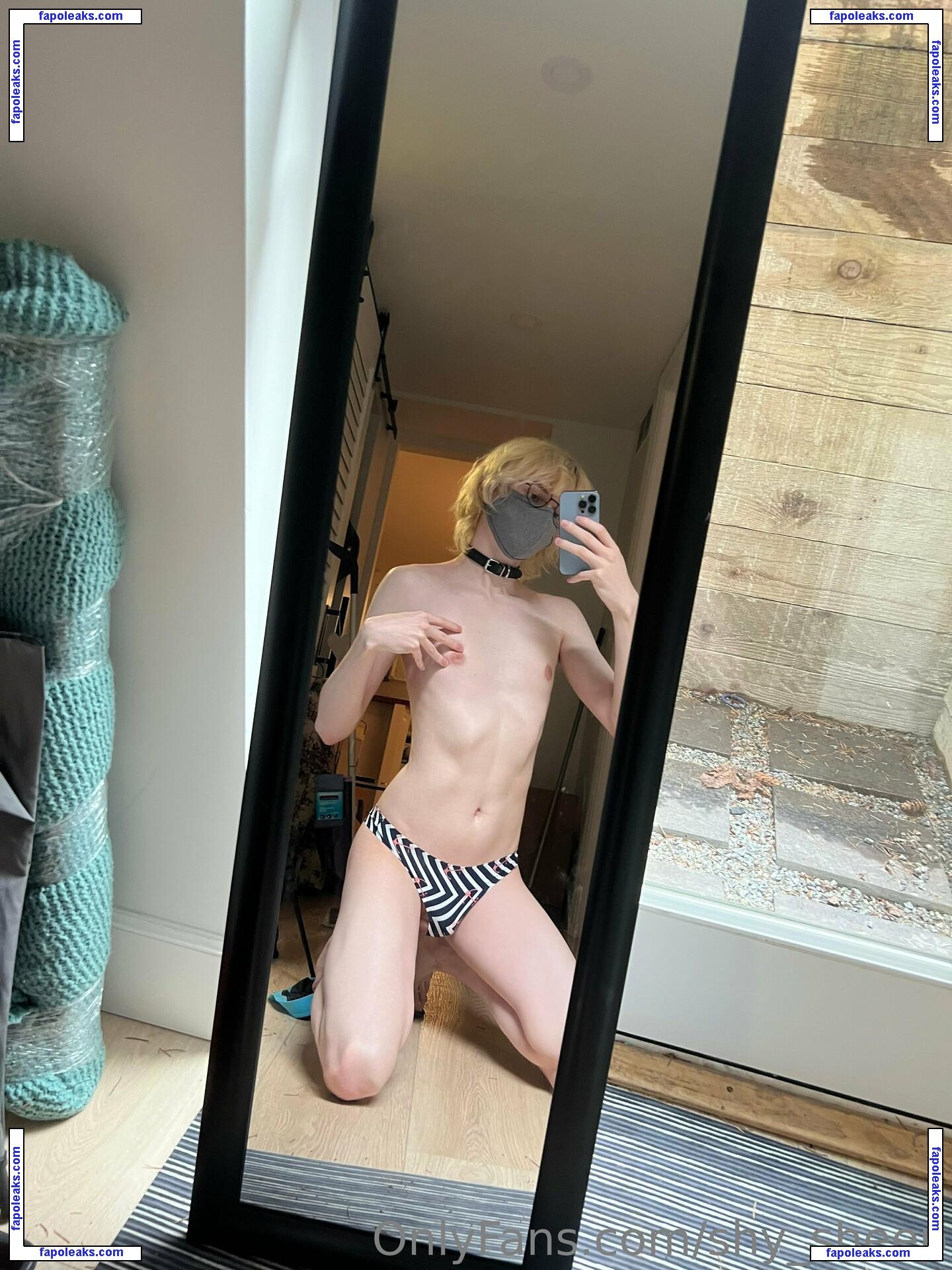 shy_sheep / shysheepstudio nude photo #0005 from OnlyFans