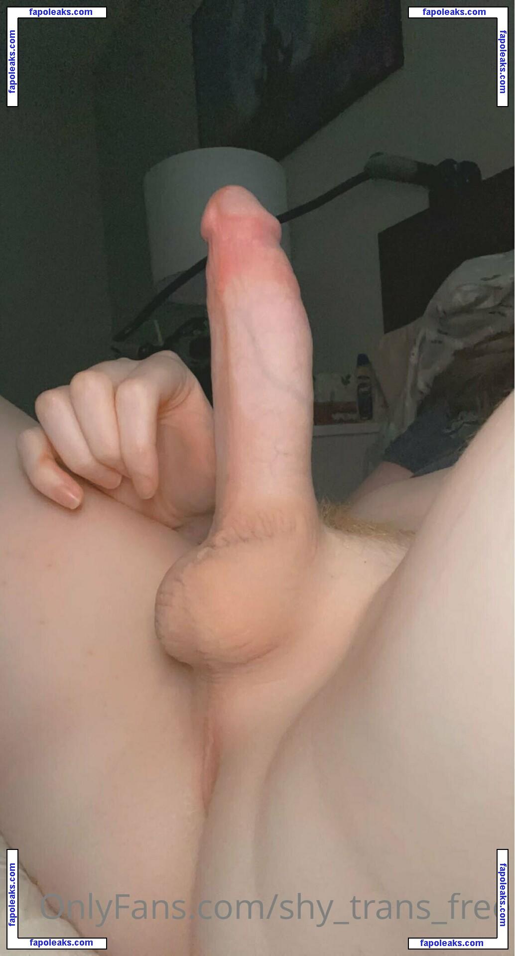shy_trans_free / shesfree_ nude photo #0048 from OnlyFans