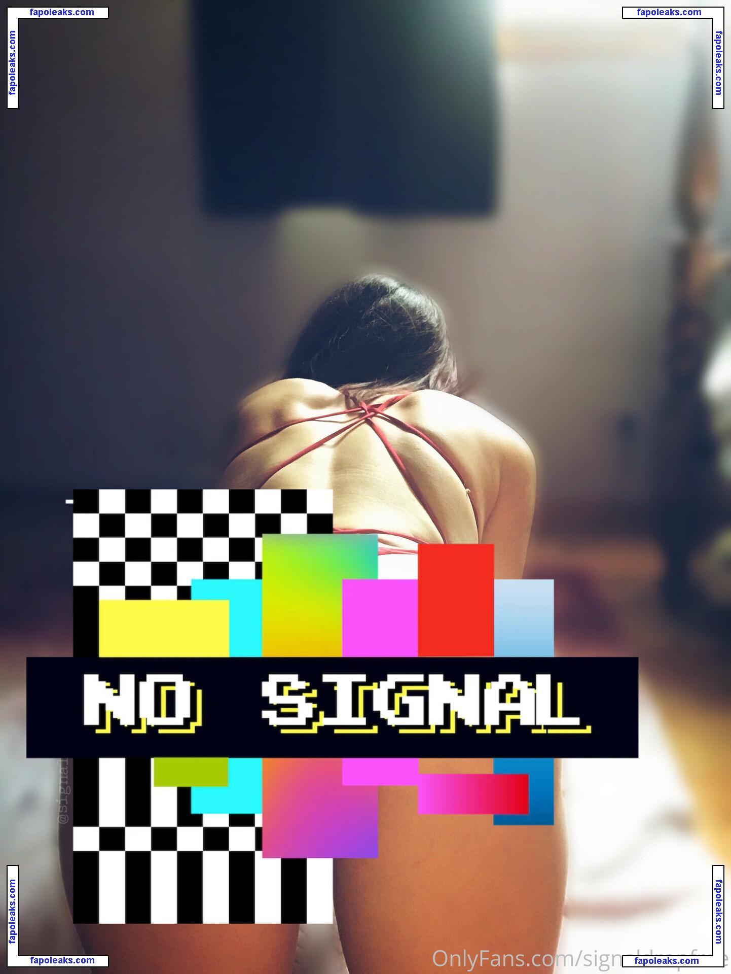 signaldropfree nude photo #0006 from OnlyFans