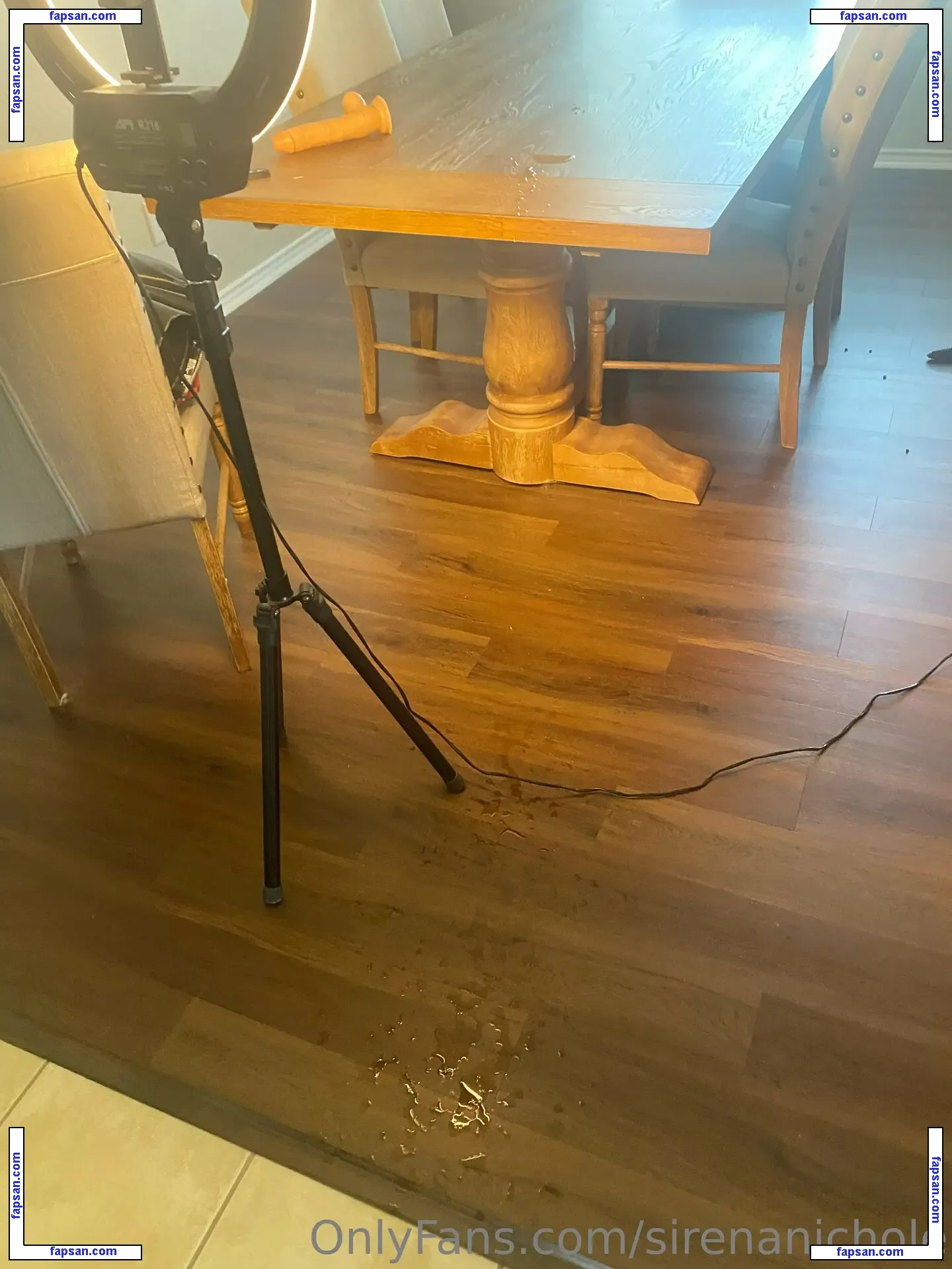 sirenanichole nude photo #0011 from OnlyFans