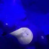 Skyla_faye36 nude #0010