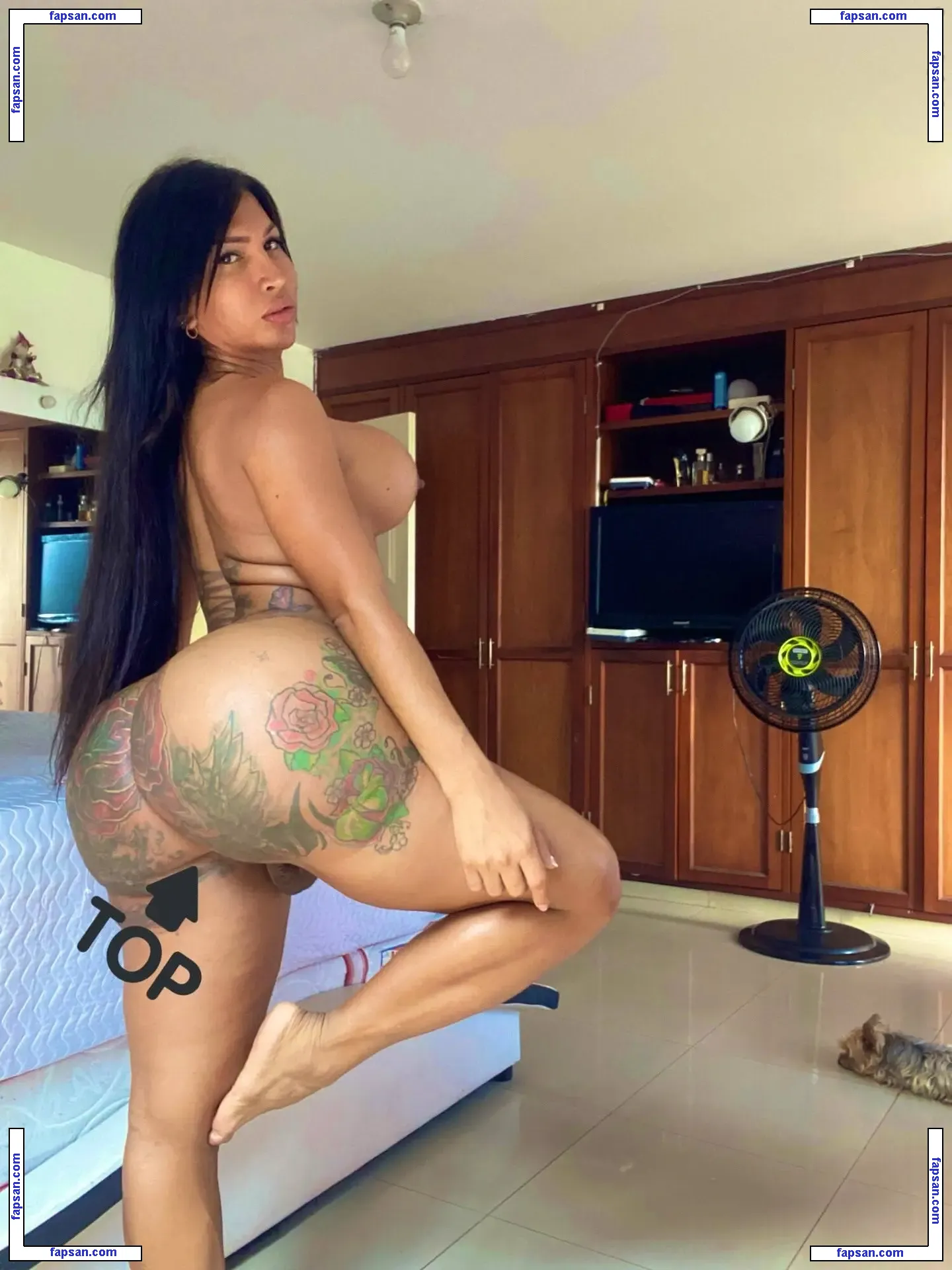 Sofia Madonaldo / sofia_maldonado nude photo #0002 from OnlyFans