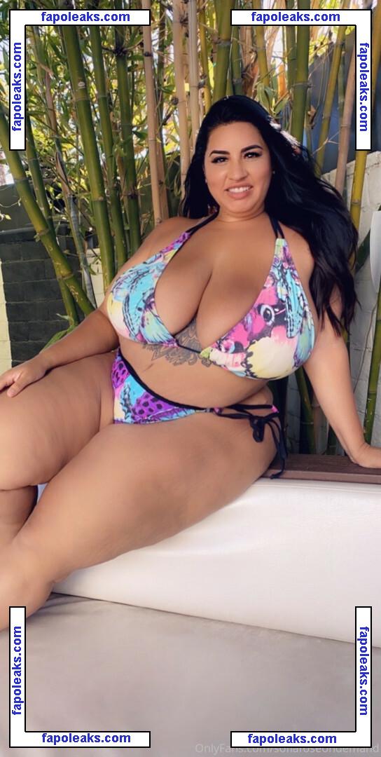 Sofia Rose / bbwsofiarose / sofiarose / sofiaroselive голая фото #0022 с Онлифанс