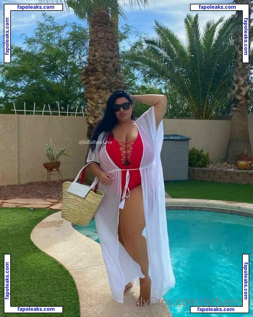 Sofia Rose / bbwsofiarose / sofiarose / sofiaroselive nude photo #0025 from OnlyFans