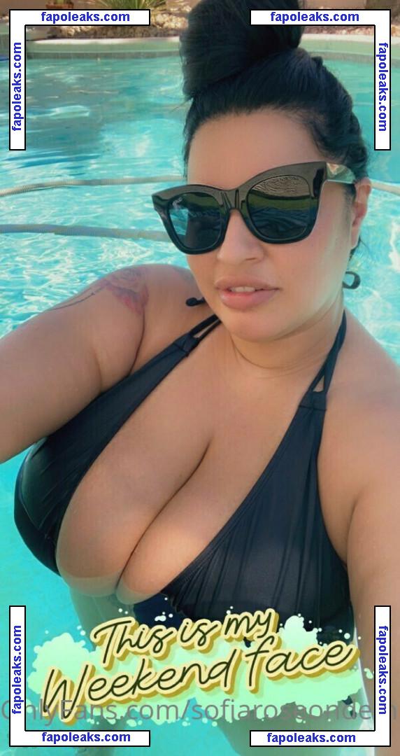 Sofia Rose / bbwsofiarose / sofiarose / sofiaroselive nude photo #0050 from OnlyFans