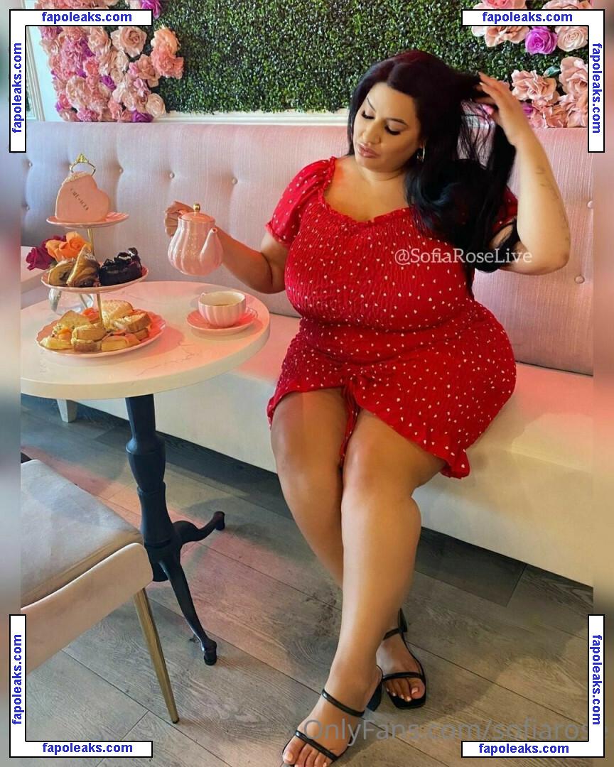 Sofia Rose / bbwsofiarose / sofiarose / sofiaroselive nude photo #0057 from OnlyFans