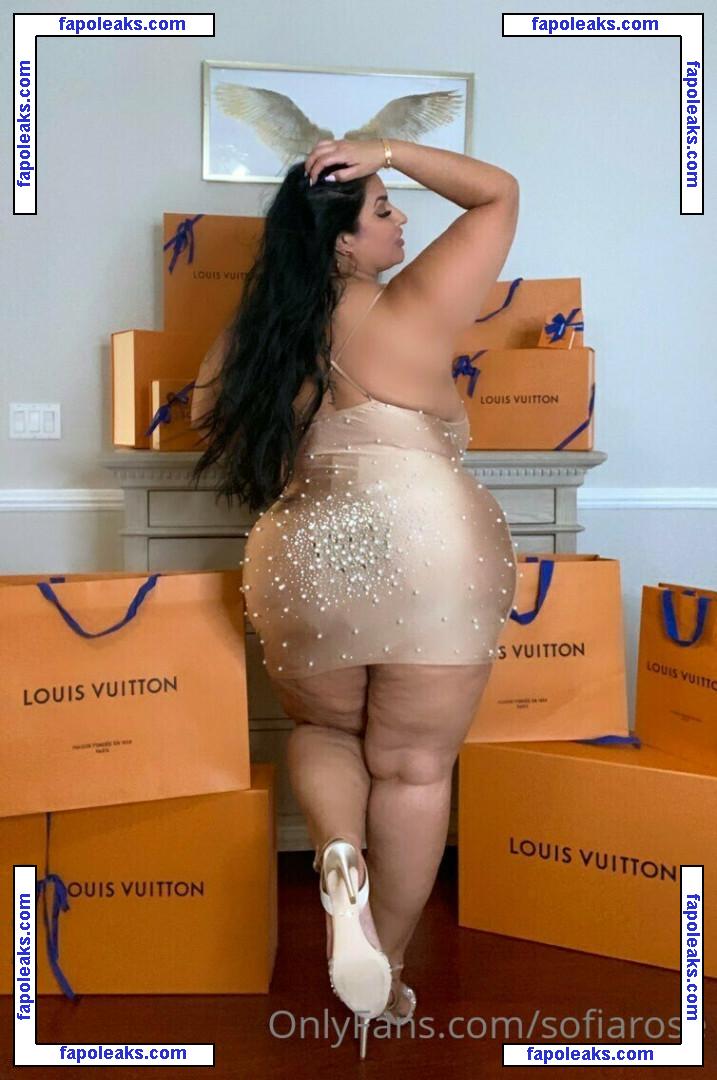 Sofia Rose / bbwsofiarose / sofiarose / sofiaroselive nude photo #0060 from OnlyFans