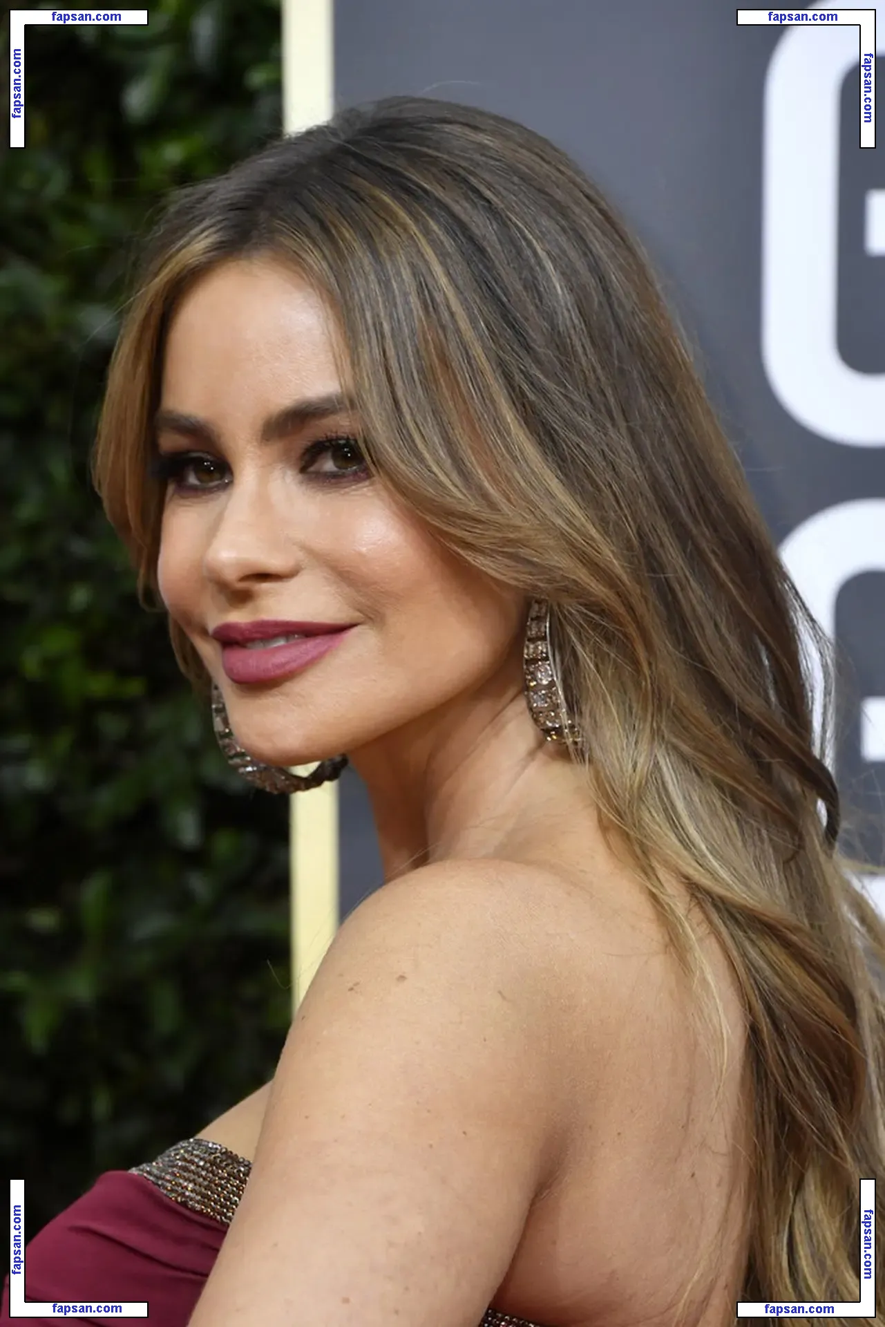 Sofía Vergara nude photo #0592 from OnlyFans