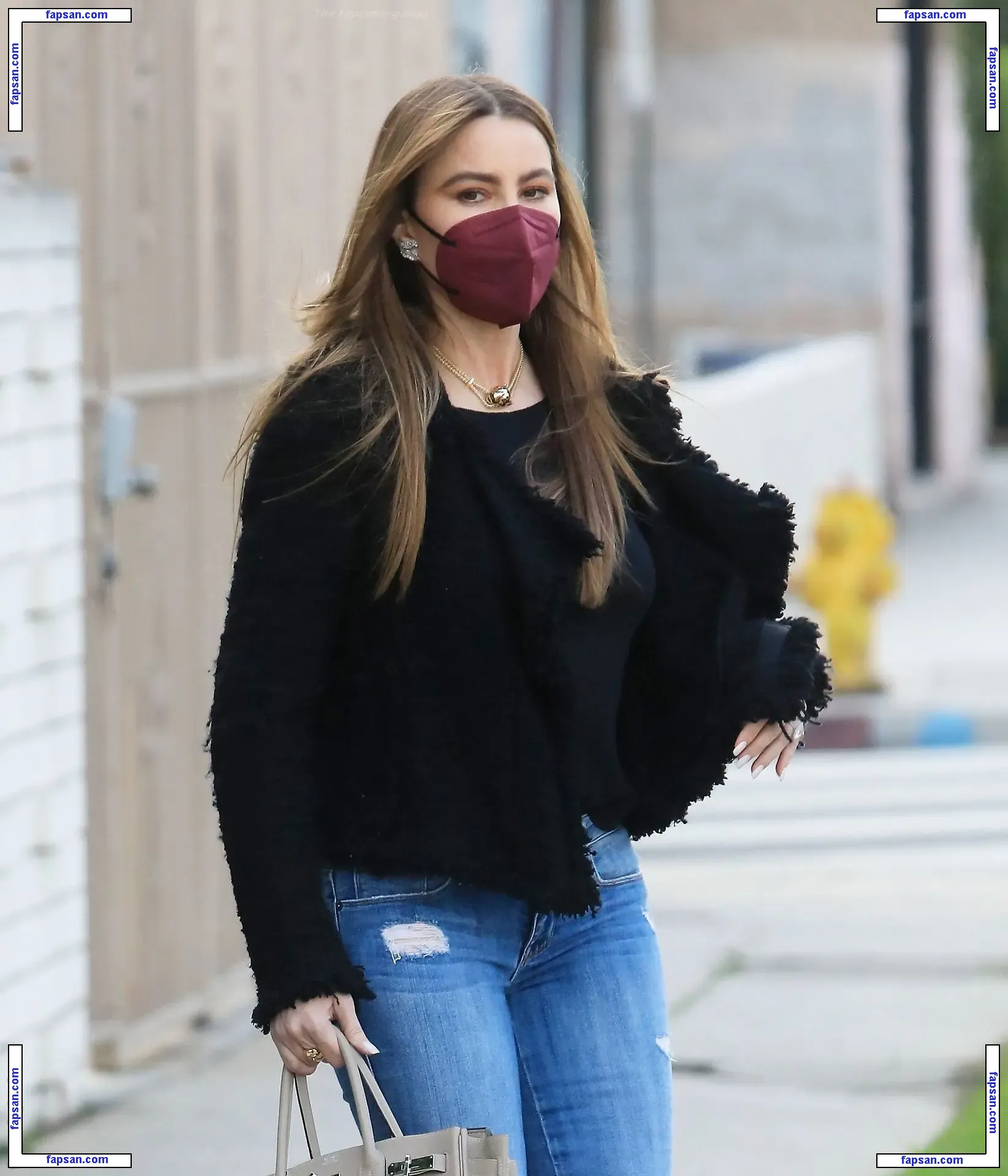 Sofía Vergara nude photo #0696 from OnlyFans