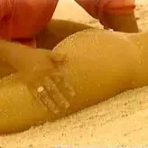 Sofía Vergara nude #1331